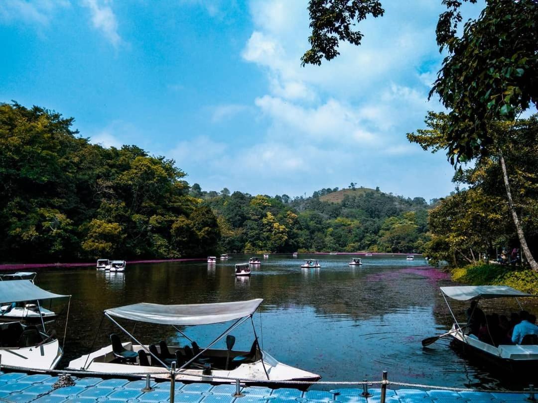 Villa Wayanad Snow Vibes Vythiri Exterior foto