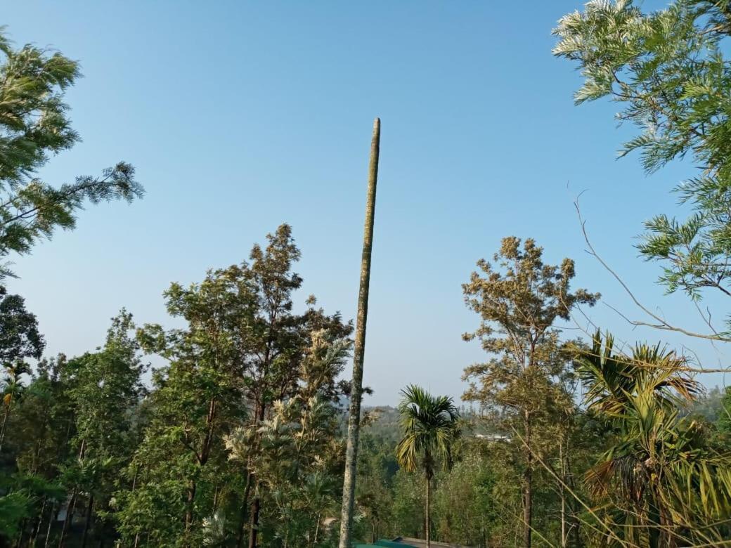 Villa Wayanad Snow Vibes Vythiri Exterior foto