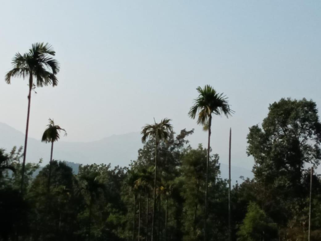 Villa Wayanad Snow Vibes Vythiri Exterior foto